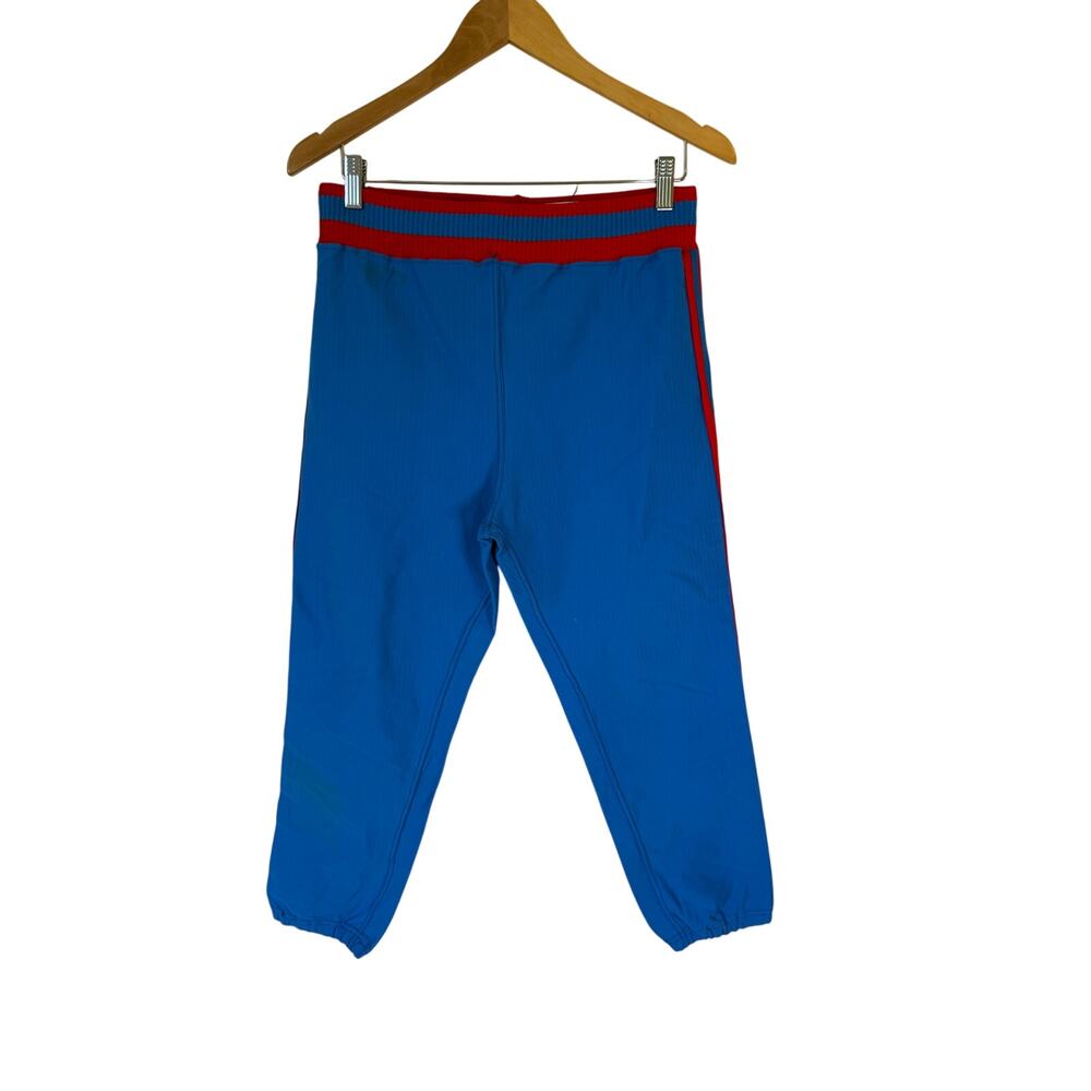 Sand Knit High Rise Pull On Crop Pants Striped Blue Red Medium Athleisure